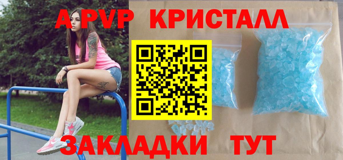 Альфа ПВП СК КРИС Избербаш