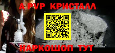 крисы Кунгур