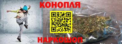 крисы Кунгур