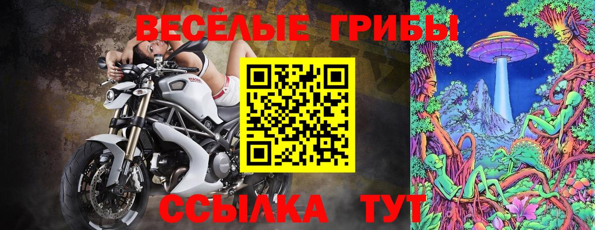 Псилоцибиновые грибы Magic Shrooms  Вход с VPN  Избербаш 